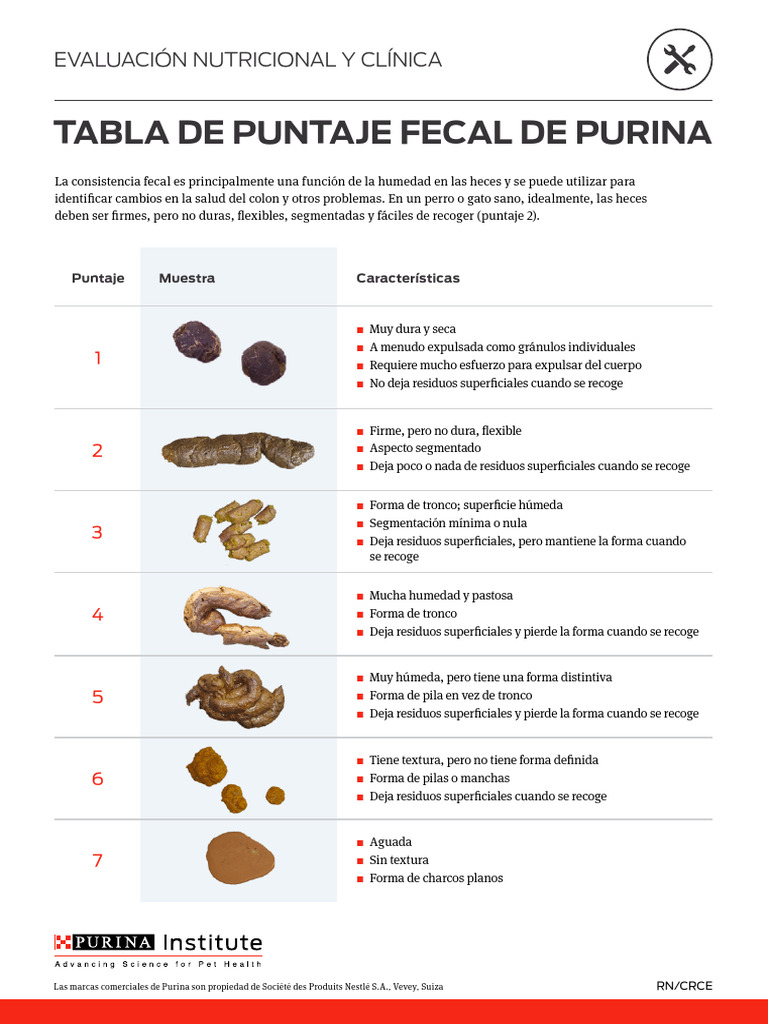 Escala de Puntaje Fecal para Mascotas | PDF | Heces