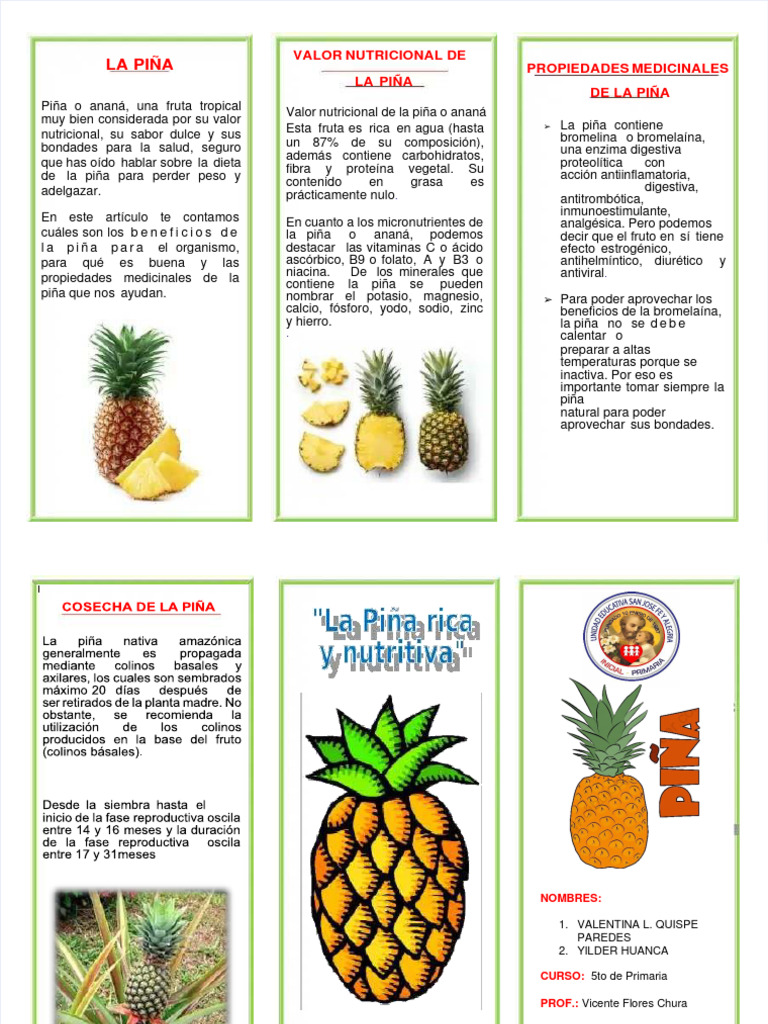 Beneficios y propiedades de la piña | PDF | Piña | Nutrición