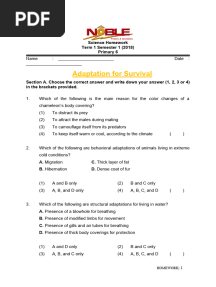 Primary 6 Science Worksheet - Adaptations HW