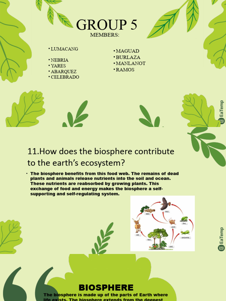 Group 4 | PDF | Home & Garden | Science & Mathematics