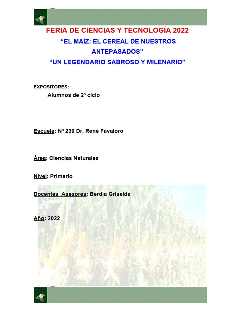 FERIA DE CIENCIAS Y TECNOLOGÍA 2022 - 4° Grado-000 | PDF | Maíz