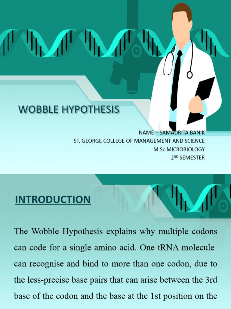 Understanding the Wobble Hypothesis | PDF | Genetic Code | Base Pair