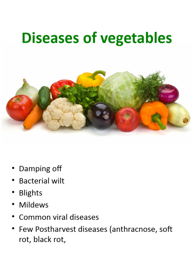 Control of Vegetable Diseases | PDF | Crops | Organisms
