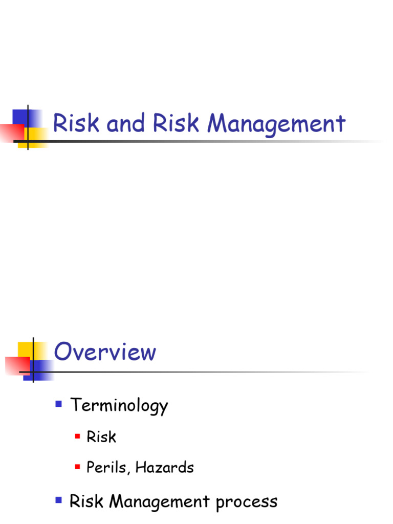 Understanding Risk Management Basics | PDF | Risk | Risk Management