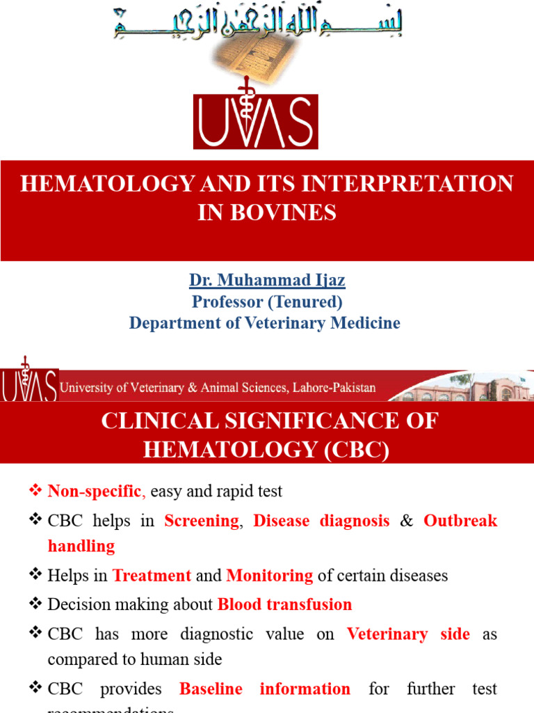 Hematology And Its Interpretation In Bovines Pdf Anemia Hematology