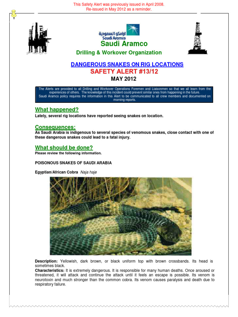 Dangerous Snakes On Rig Locations | PDF | Snake | Clinical Medicine