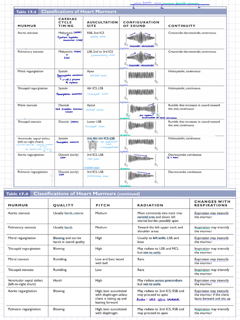 Cardiac Murmurs Pdf Diastole Cardiovascular Diseases