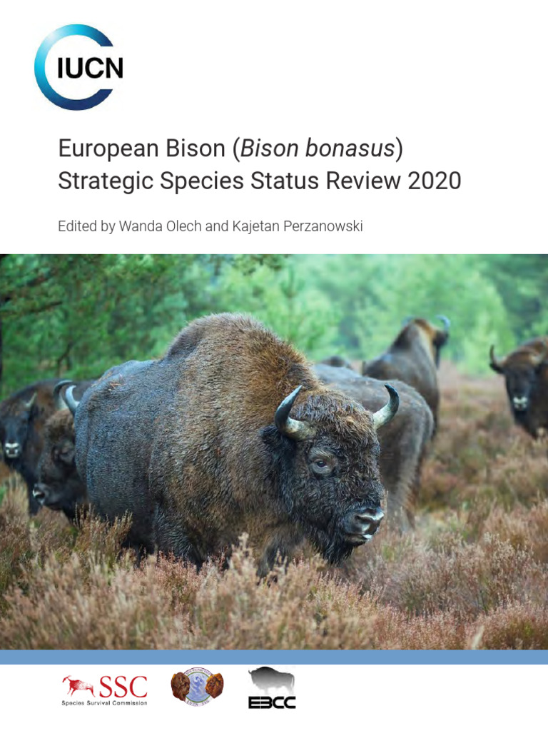 European Bison Conservation Review 2020 Pdf Bison 