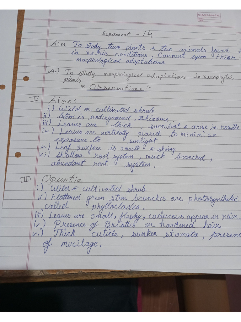 Bio 14 | PDF