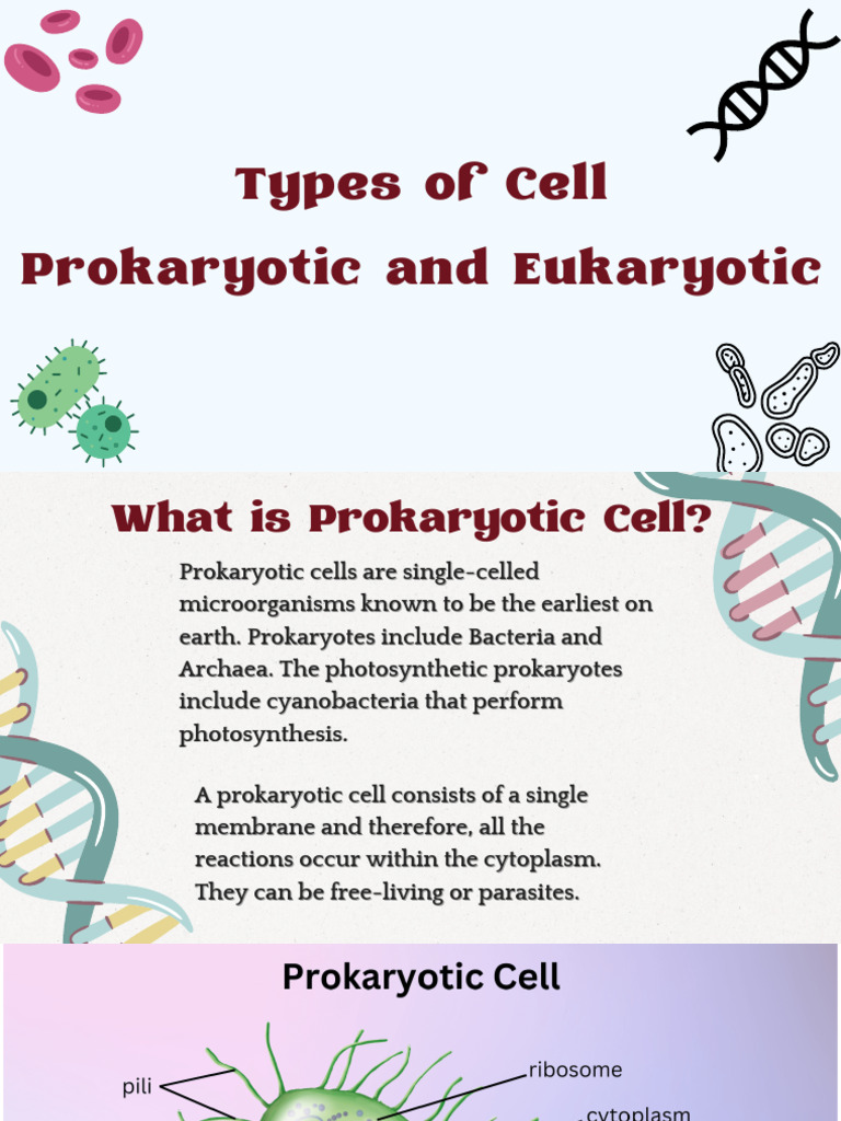 Prokaryotic and Eukaryotic Cell | PDF | Cell (Biology) | Cell Membrane