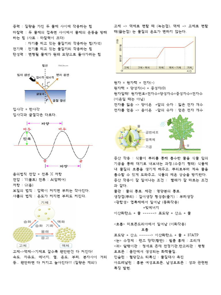 중학교 과학 | PDF