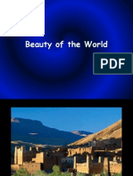 Beauty of The World