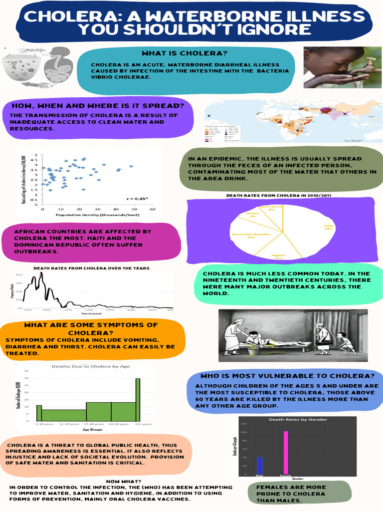 Cholera: Vulnerable Populations & Prevention | PDF | Cholera | Medical ...