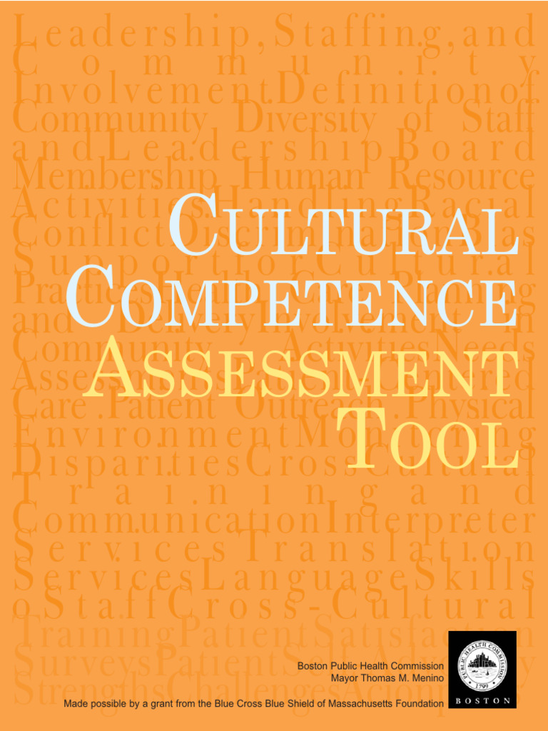 Cultural Competence Assessment Tool | PDF | Race And Ethnicity In The ...