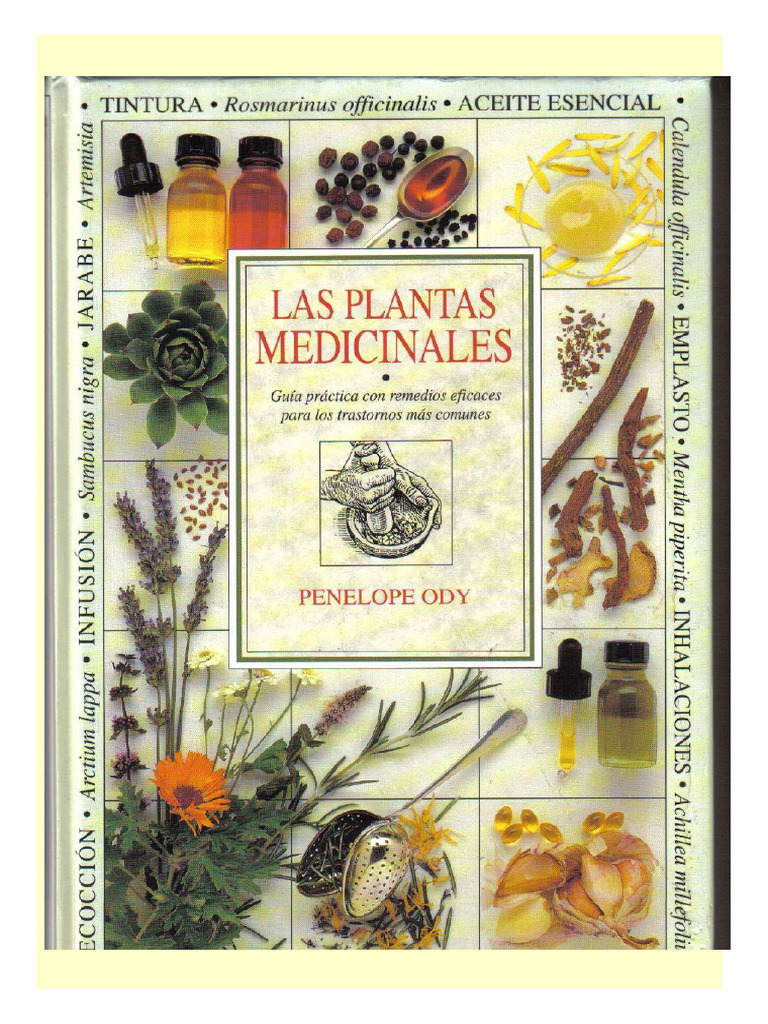 Enciclopedia de Plantas Medicinales (PDFDrive) | PDF