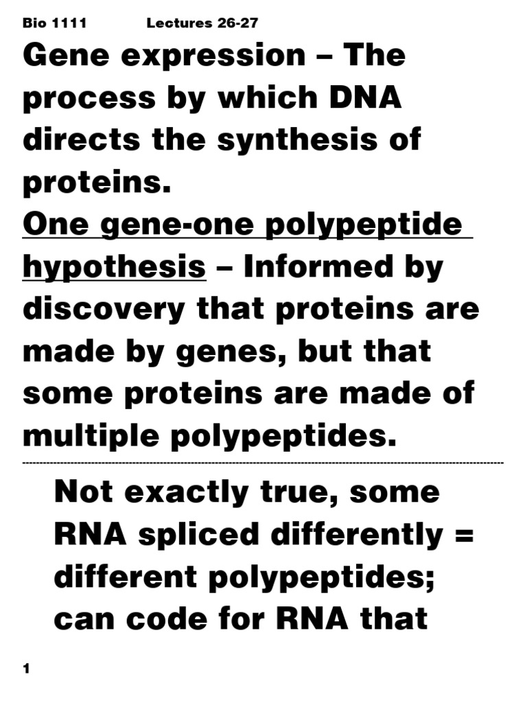 Gene Expression: Transcription & Translation | PDF | Translation ...