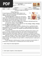 Atividade sobre o Sistema Digestivo 5º Ano | PDF