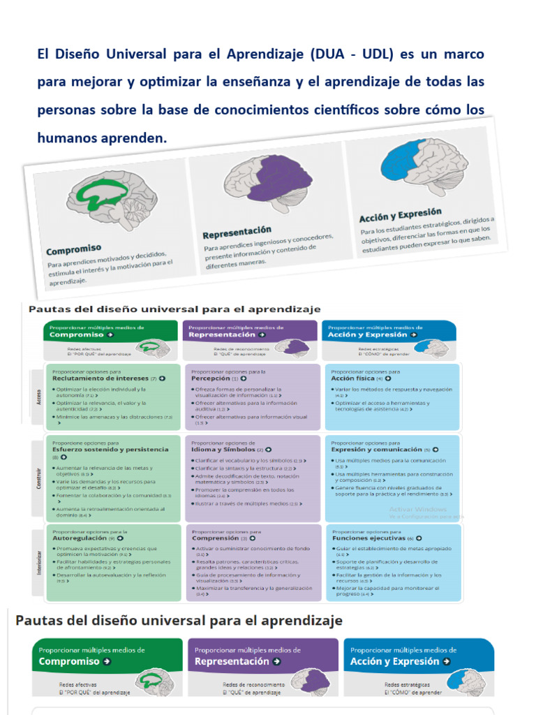 Pautas DUA 3.0 para Aprendizaje Inclusivo | PDF | Aprendizaje ...