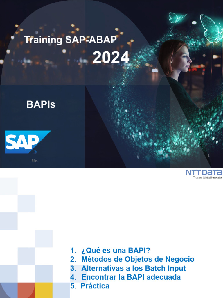 Introducción a BAPIs en SAP | PDF | Informática | Ciencias de la ...
