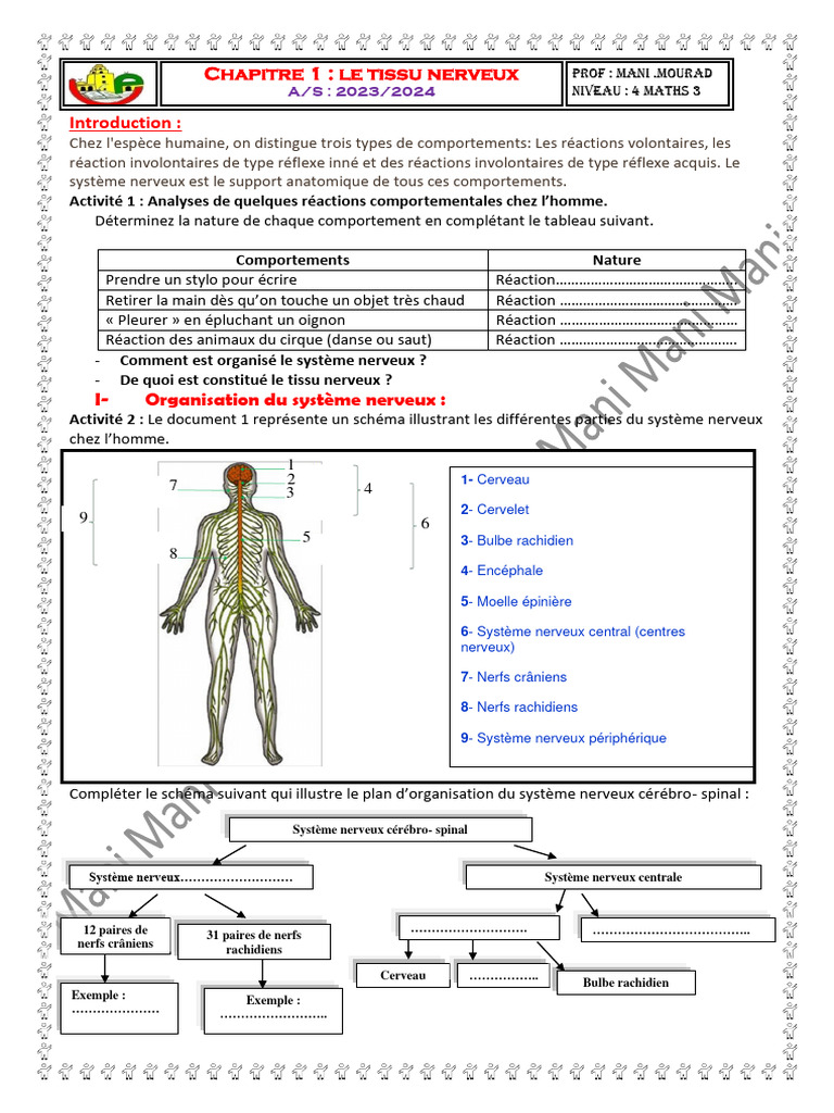 Composition du tissu nerveux humain | PDF | Nerf | Axone