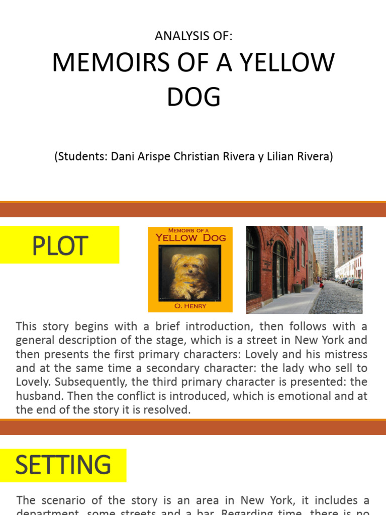 Memoirs of A Yellow Dog (Presentación) | PDF | Narration