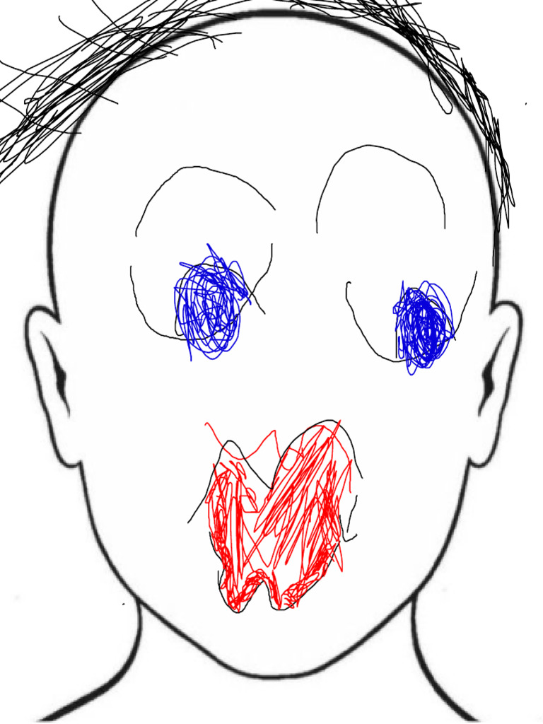 Kami Export - Bryce M - Complete The Face | PDF