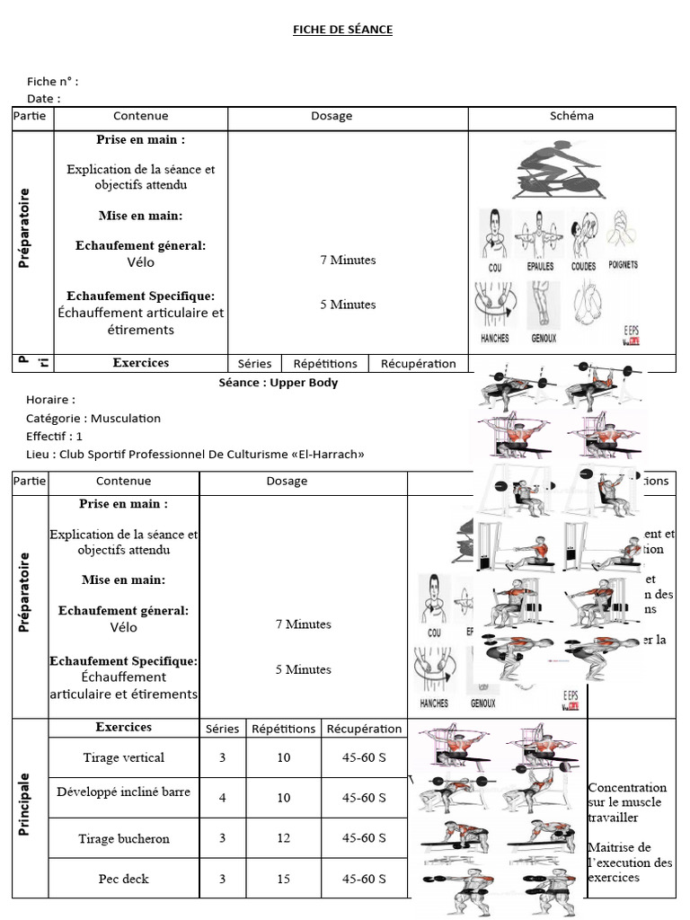 Séance Musculation Haut du Corps PDM | PDF | Musculation | Anatomie humaine