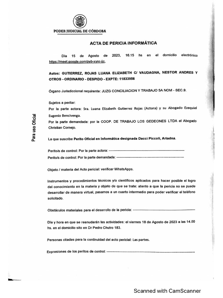 Actas Pericia Informatica Gutierrez C Vaudagna | PDF