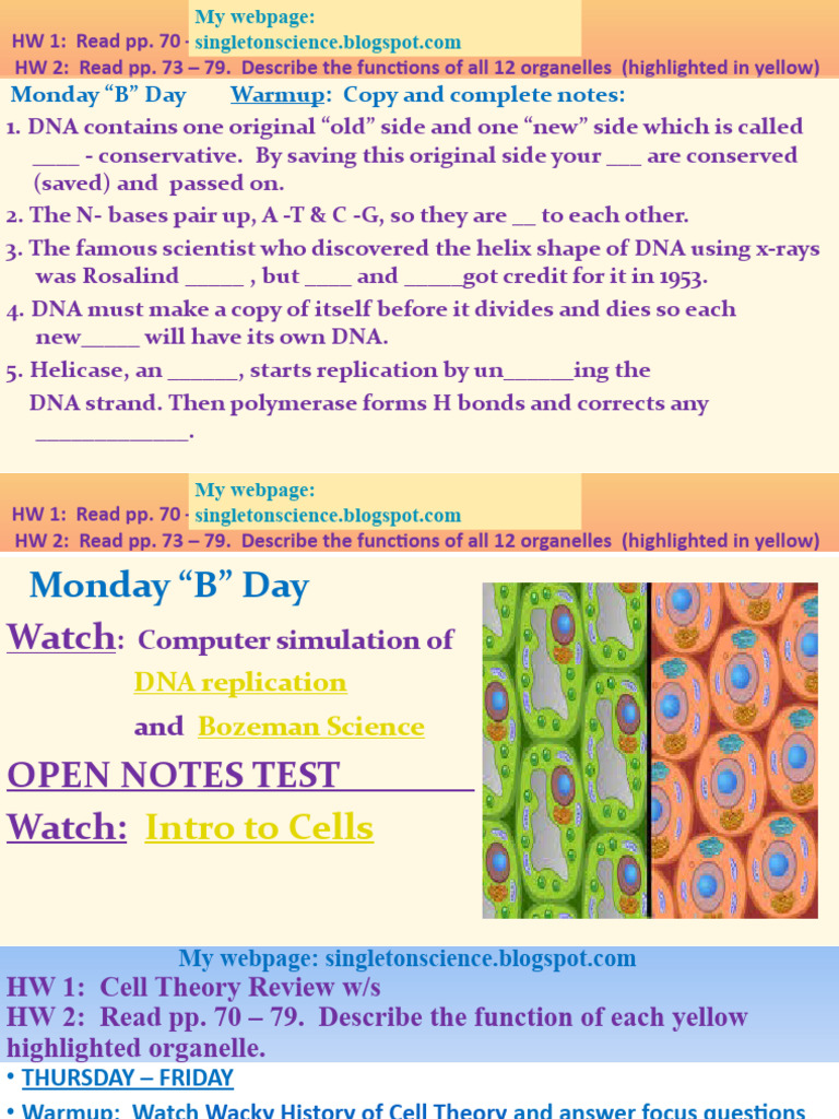 Cell Theory and Organelle Functions Guide | PDF | Cell (Biology ...