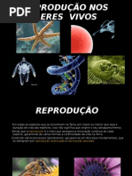 Reprodução Nos Seres Vivos 