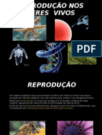 Reprodução Nos Seres Vivos 