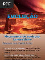 Evolução