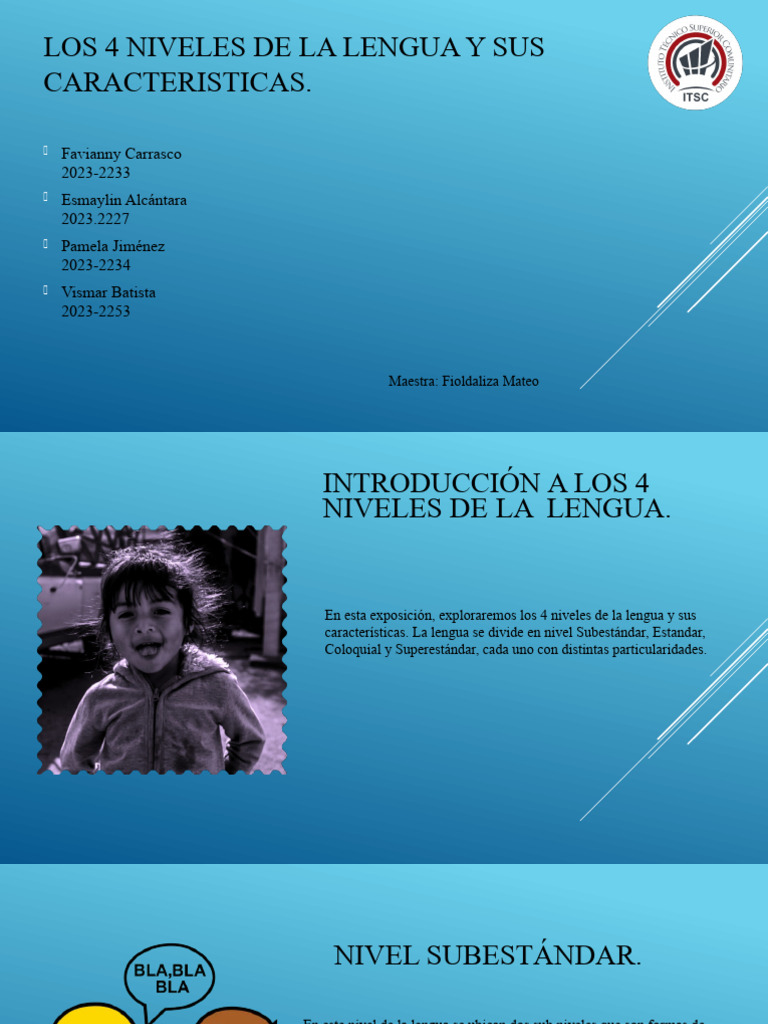 Los 4 Niveles de La Lengua Arreglado. | PDF | Lingüística | Gramática