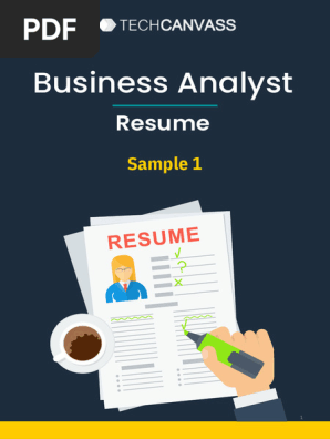 Business Analyst Resume Sample