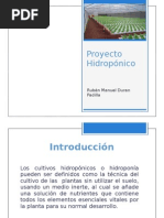 Download Proyecto Hidroponico Ruben Duran by Ruben Manuel Duran SN75548020 doc pdf