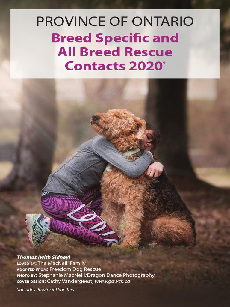 Ontario Dog Rescue Directory 2020 | PDF | Subspecies Of Canis Lupus ...