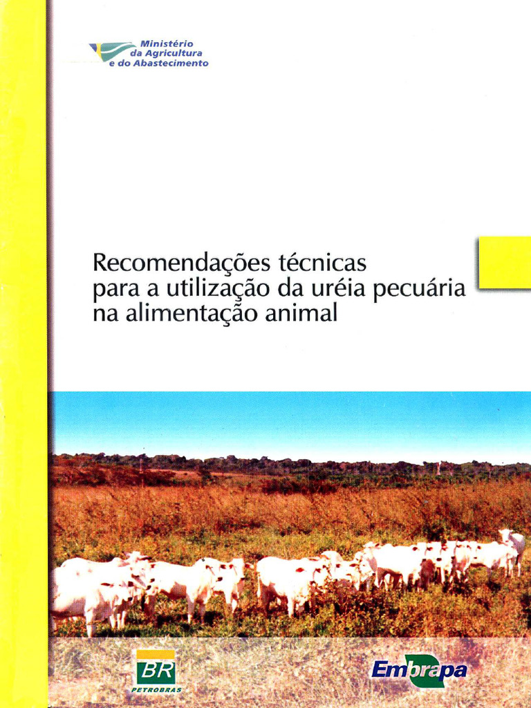 Cirtec 08 | PDF