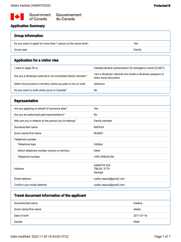 Application Summary Group Information | PDF