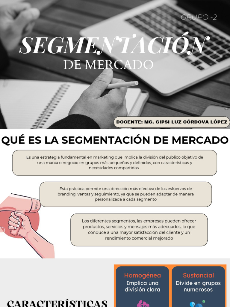 Segmentacion de Mercado | PDF | Marketing | Comportamiento