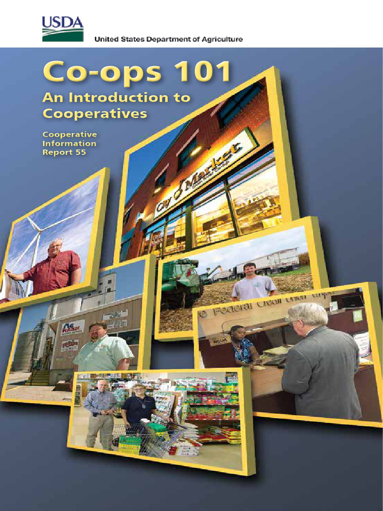 2016 USDA Introduction To Cooperativism | PDF | Partnership | Stocks