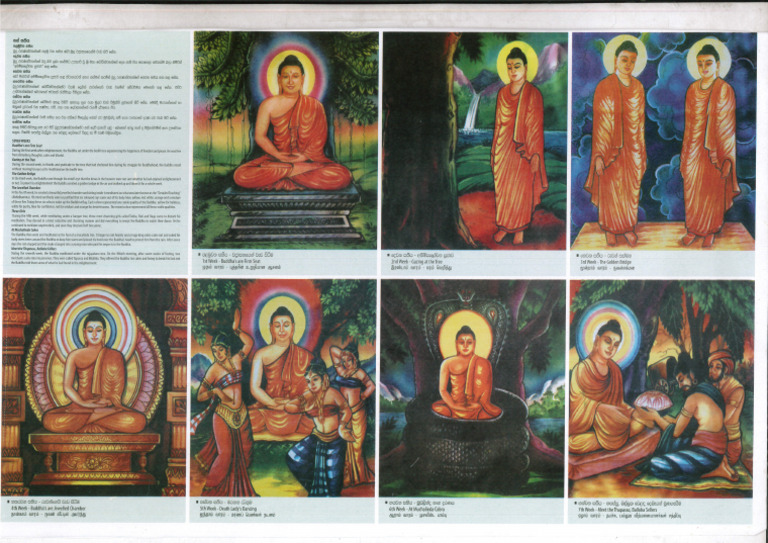 සත් සතිය | PDF