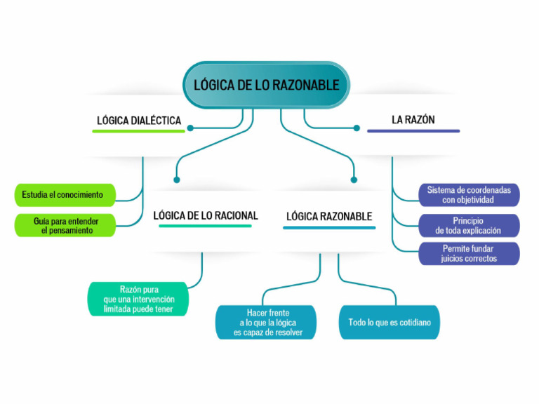 Logica de Lo Razonable | PDF