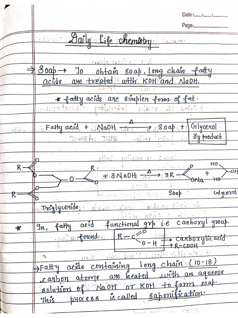 Daly Life Chemistry | PDF