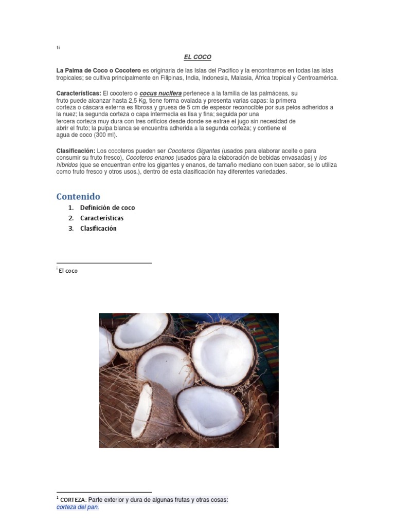 Características y clasificación del coco | PDF | Hogar, jardinería y ...