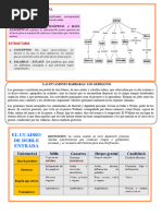 Organizadores Gráficos Ii - 2°