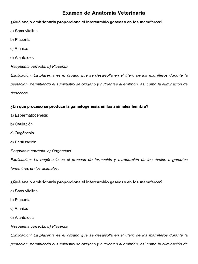 Examen Anatomia Veterinaria 2 Pdf Placenta Embrión