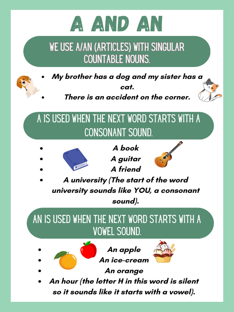Articles and Quantifiers Explained | PDF