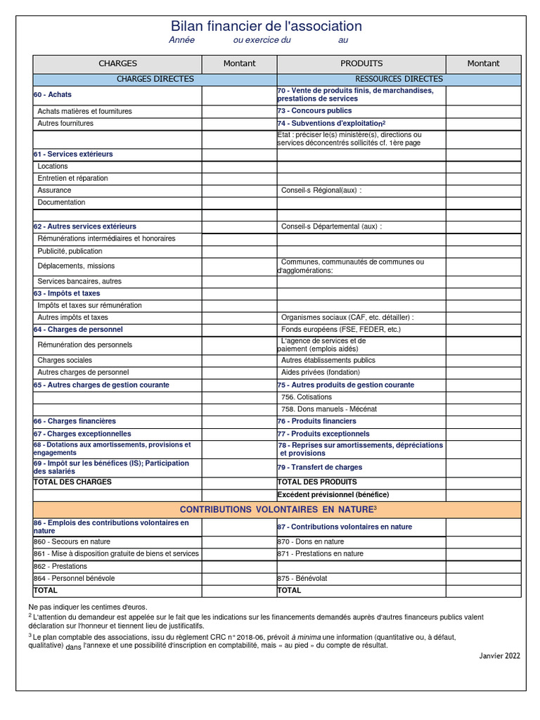 Bilan Financier d'Association 2022 | PDF | Bénévolat | Impôts