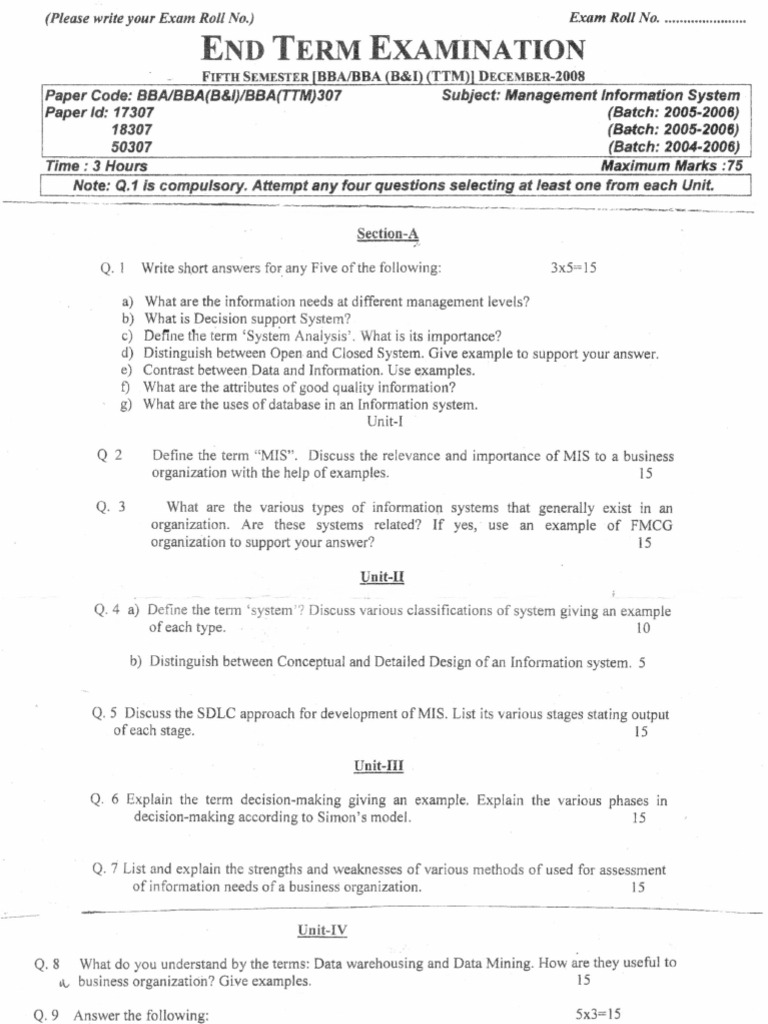 BBA Management Information System Exam | PDF