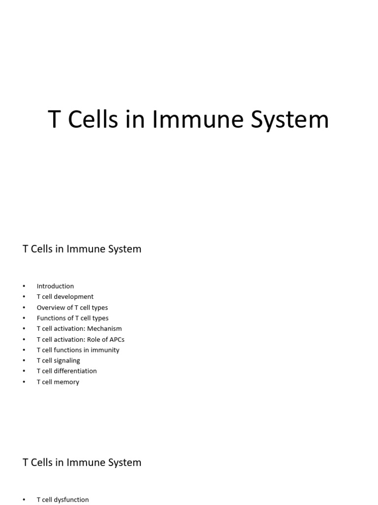 T Cells in Immune System | PDF | T Cell | Immune System